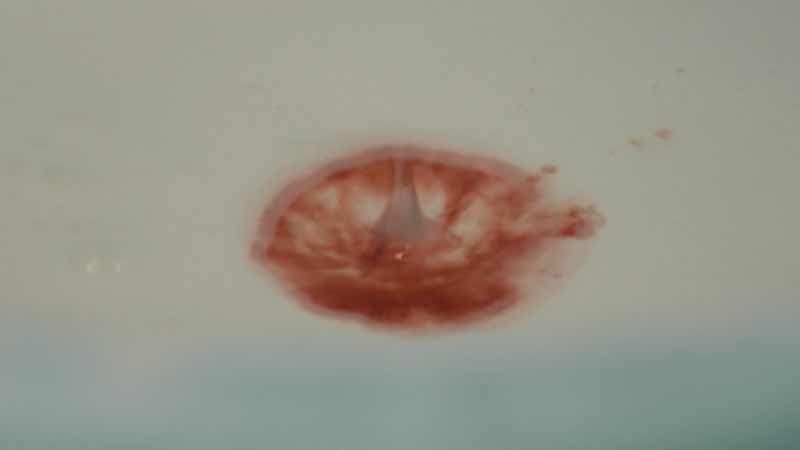 1a.131.nha-hai-chu-truyen-thong-spotlight-viet-nam-25