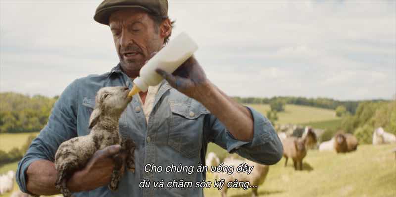 1a.78.doi-tham-tu-cuu-an-mang-nua-dem-truyen-thong-spotlight-vietnam4