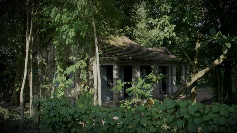 1a.83.nha-hai-chu-truyen-thong-spotlight-vietnam1