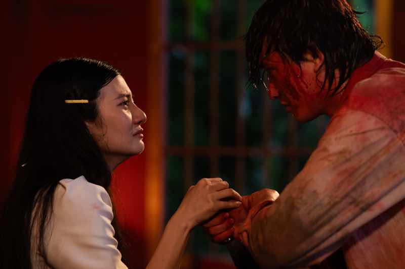 1z.376.tran-ngoc-vang-heo-nam-mong-11
