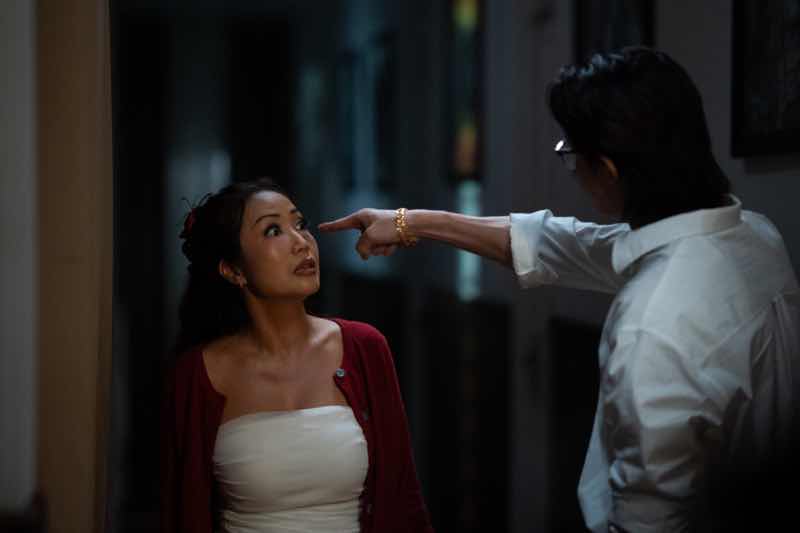 1z.376.tran-ngoc-vang-heo-nam-mong-6