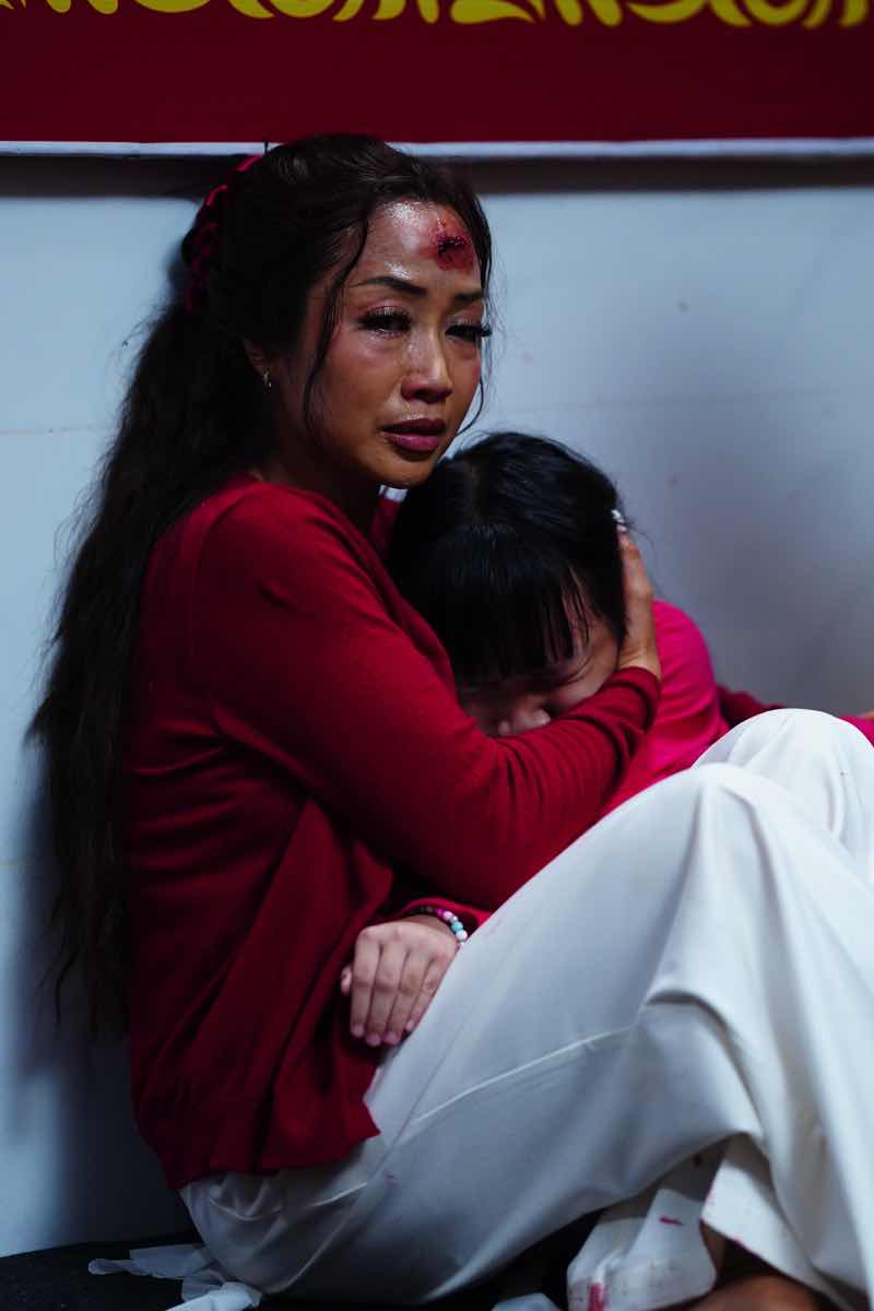 1z.400.tran-ngoc-vang-heo-nam-mong8