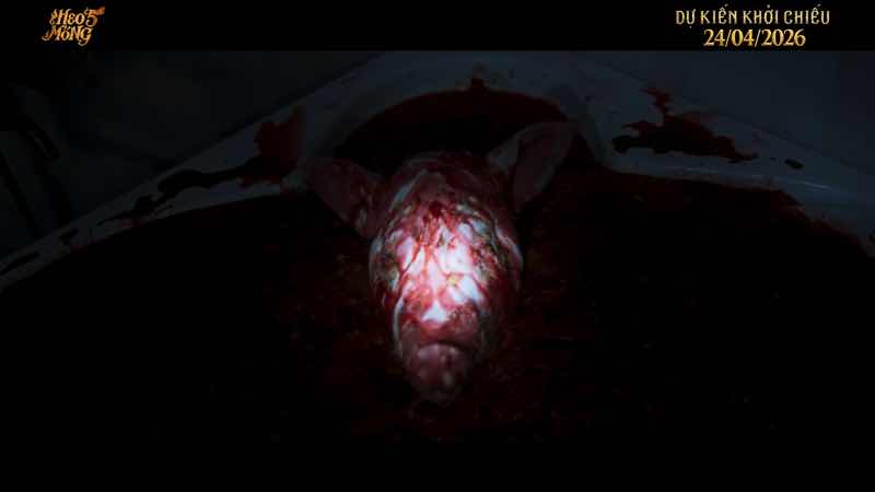 1z.520.vo-tan-phat-heo-nam-mong-truyen-thong-spotlight-vietnam-12