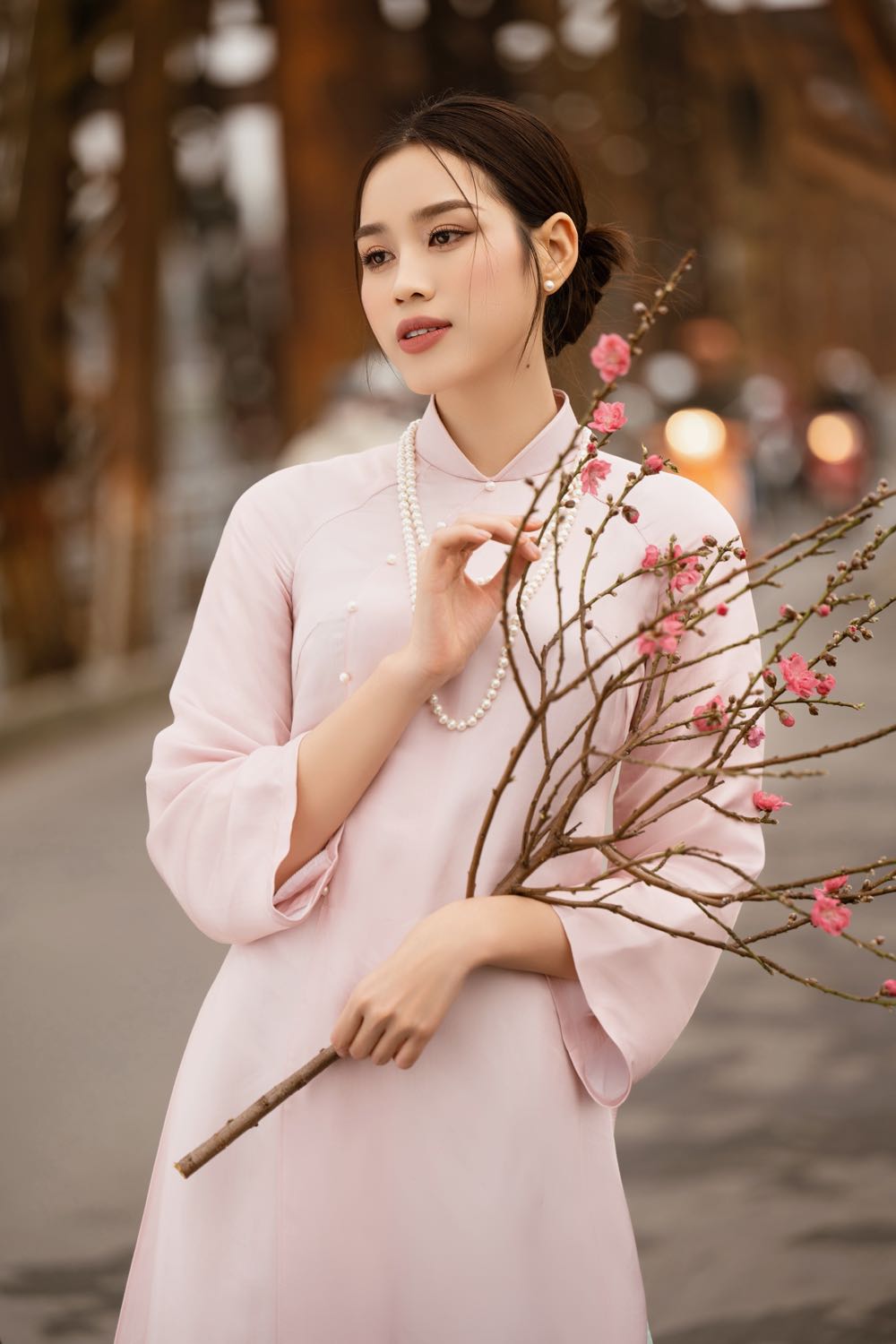 879.HHVN-Do-Ha-spotlight-vietnam2