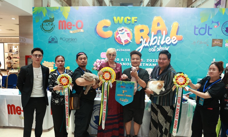 hon-80-be-meo-tranh-tai-tai-cuoc-thi-sac-dep-wcf-coral-jubilee-cat-show-2023-121110641