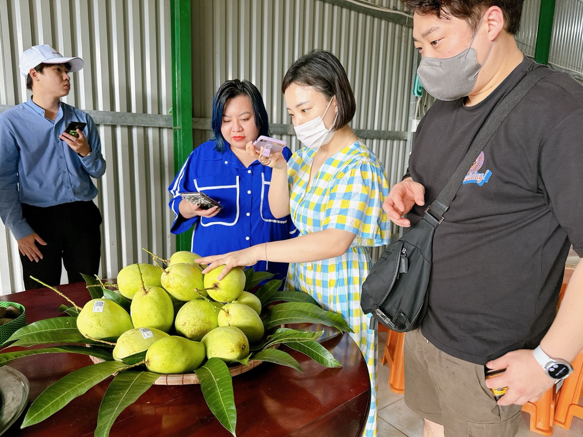 Doanh nghiep Han Quoc thich thu khi nem thu giong xoai Tu Quy