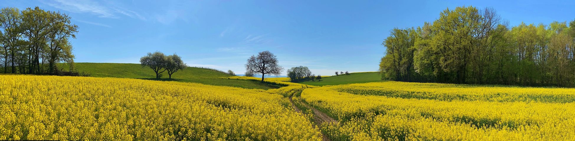 field-5065671  480