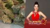 Hoa hậu L&ecirc; Thanh Th&uacute;y d&agrave;nh tặng hơn 14 tấn chanh, sả, gừng v&agrave; thực phẩm hỗ trợ người d&acirc;n chống dịch