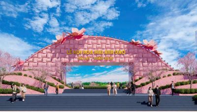 Đ&Agrave; LẠT TỔ CHỨC LỄ HỘI HOA MAI ANH Đ&Agrave;O VỚI LOẠT SỰ KIỆN ĐẶC SẮC