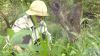 Người mẹ ngh&egrave;o mắc bệnh ung thư vẫn bươn chải nu&ocirc;i con ăn học khiến kh&aacute;n giả x&uacute;c động