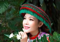 Kim Thanh Thảo đẹp nền n&atilde;, quảng b&aacute; cho Lễ hội văn h&oacute;a thổ cẩm Việt Nam