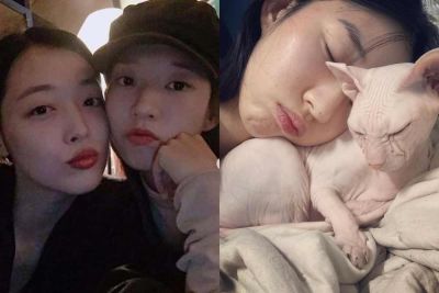 Ai đang chăm sóc chú mèo Goblin của cố nghệ sĩ Sulli?