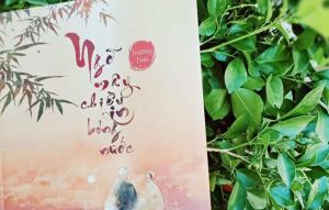 Review sách: Ngỡ mây chiều in bóng nước - Tác giả Trường Tình