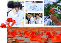 M&ugrave;a h&egrave; cuối của thời học sinh