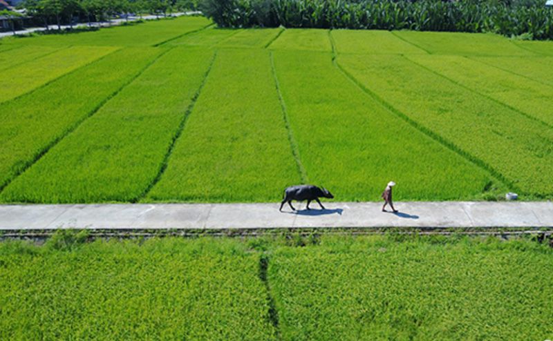 Còn bao nhiêu lần trong đời?